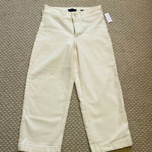 Banana Republic high rise barrel leg cropped premium denim 25 petite